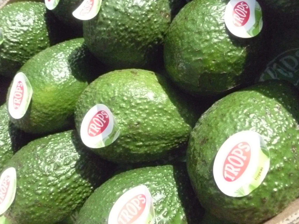 Gros plan sur des avocats étiquetés sur un étal de marché