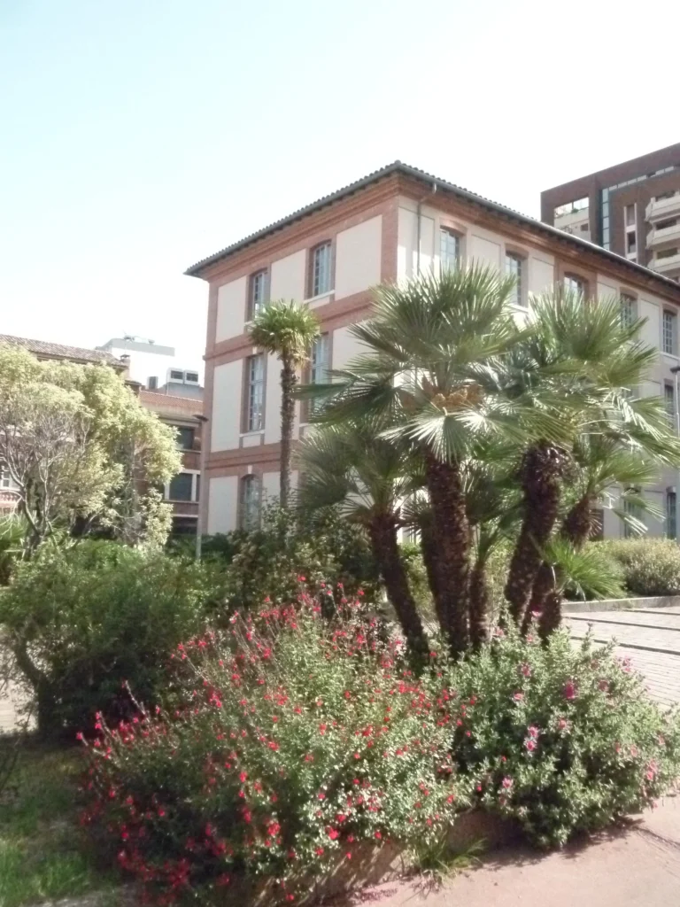 Des palmiers devant un immeuble en brique