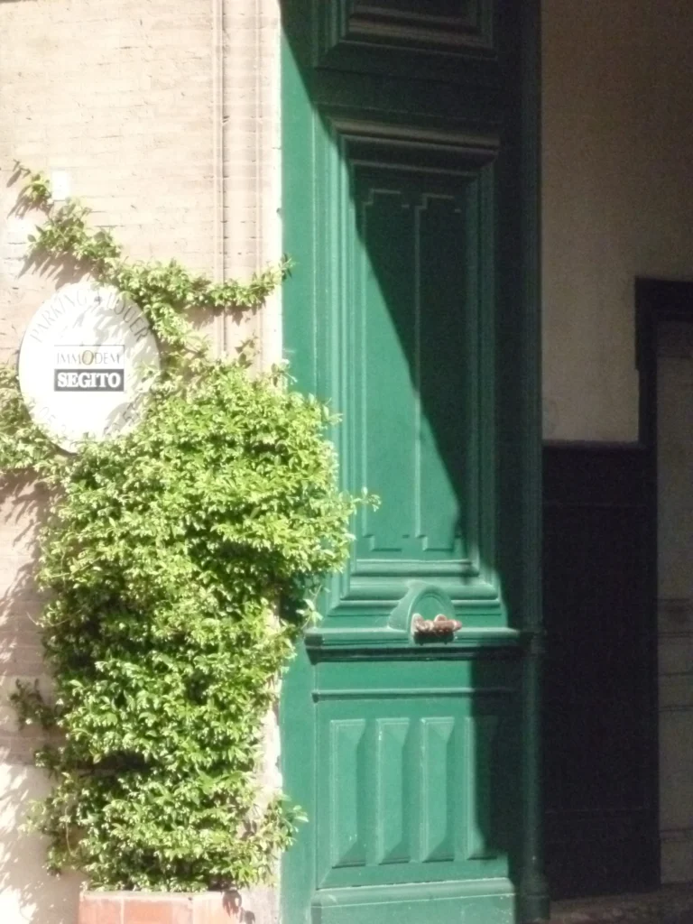 Une porte verte encadrée de feuillage, plaque ronde sur le mur