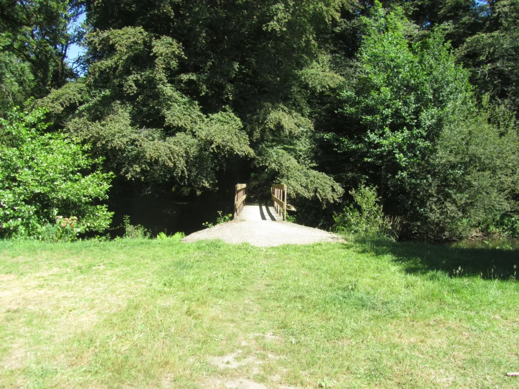 Clairière et passerelle en bois au bord de la rivière
