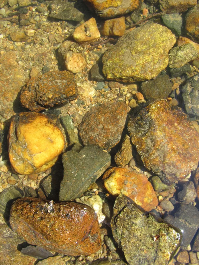 Galets dorés et ocre sous l'eau d'une rivière