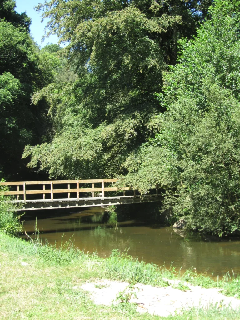 Passerelle en bois au-dessus d'une rivière en Bretagne