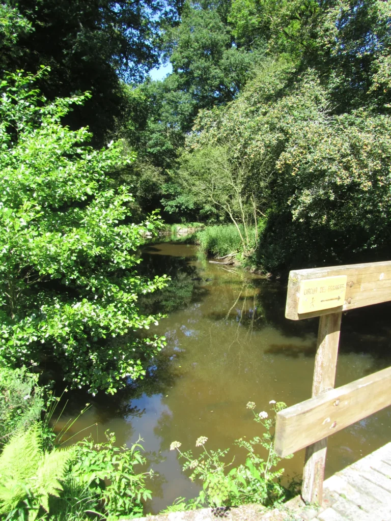 Rivière et rambarde en bois, Canon SX210 IS